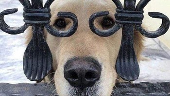 Dicek dulu matanya. (Foto: Boredpanda)