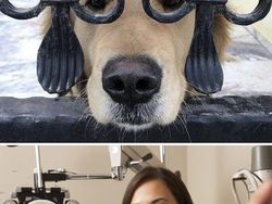 Duel Photoshop Ini Hasilkan Gambar-gambar Kocak!