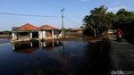 Cerita Satu Dekade Kampung Beting Pasca Abrasi di Ujung Bekasi