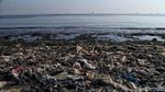 Potret Muram Sampah Plastik Kepung Pantai Jakarta
