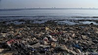 Sampah tak hanya mengancam pantai di Jakarta, tetapi hampir di seluruh wilayah Indonesia.