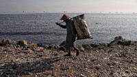 Walhi juga menyoroti manajemen pengelolaan sampah di Indonesia yang belum dapat dikatakan baik dan maksimal. Dalam catatannya, Walhi bahkan mengatakan hanya sekitar 40% daerah di Indonesia uang memiliki sistem pengangkutan sampah.