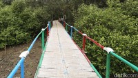 Hutan ini menjadi lokasi wisata sekaligus benteng pemecah ombak.