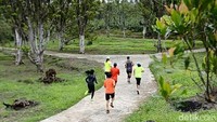 Seluruh peserta, akan melintasi rute yang sama dengan jarak tempuh sejauh 5 kilometer. Lintasan yang dilalui peserta terdiri atas jalanan pedesaan, areal perkebunan hingga tanah berbukit. (Ardian Fanani/detikcom)