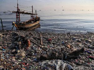 Potret Muram Sampah Plastik Kepung Pantai Jakarta