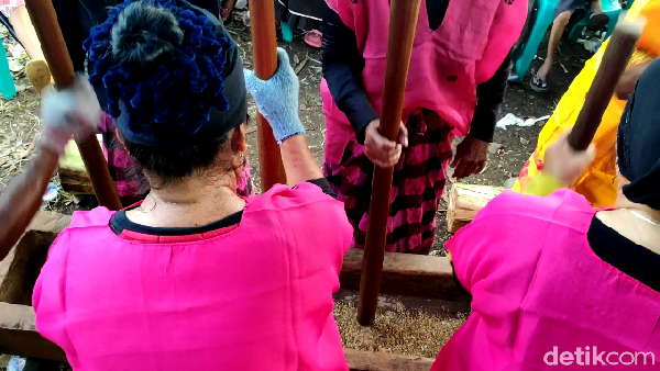 Seni menumbuk gabah bukanlah perkara mudah karena harus seirama. Jika tidak, alu yang mereka gunakan bisa saling bertabrakan (Muhammad Bakri/detikcom) Seni menumbuk gabah bukanlah perkara mudah karena harus seirama. Jika tidak, alu yang mereka gunakan bisa saling bertabrakan (Muhammad Bakri/detikcom)