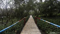 Hutan ini menjadi destinasi alternatif wisata di Kabupaten Bekasi.