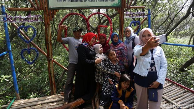 Kawasan hutan mangrove Muara Jaya, Desa Pantai Mekar, Muara Gembong, Kabupaten Bekasi, menjadi objek wisata warga. Warga berwisata dan bersantai di kawasan yang sejuk ini.