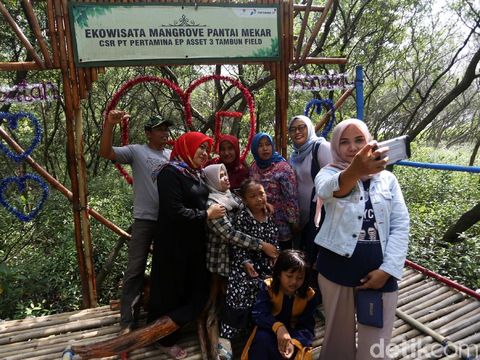 Kawasan hutan mangrove Muara Jaya, Desa Pantai Mekar, Muara Gembong, Kabupaten Bekasi, menjadi objek wisata warga. Warga berwisata dan bersantai di kawasan yang sejuk ini.