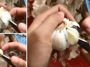 Bagikan Cara Cepat Kupas Bawang Putih, Pengguna Twitter Ini Malah Diprotes Netizen