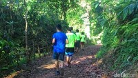 Desa ini juga memiliki destinasi wisata hutan pinus yang berhawa sejuk dengan pemandangan indah yang dikenal dengan Puncak Asmoro. Puncak Asmoro menawarkan keindahan pemandangan tiga gunung yang ada di Banyuwangi yakni Ijen, Raung dan Meranti hingga perairan Selat Bali. (Ardian Fanani/detikcom)