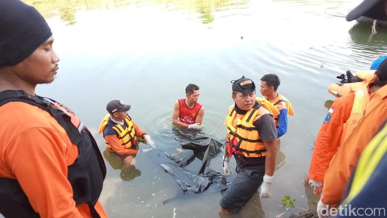 Warga Blora yang Hilang Saat Seberangi Bengawan Solo Ditemukan Warga Blora yang Hilang Saat Seberangi Bengawan Solo Ditemukan
