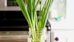 15 Tips Masak Praktis yang Bisa Hemat Waktu Kamu di Dapur