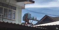Usai Makan di Tengah Hujan, Pria Ini Lanjut Minum di Atas Genteng!