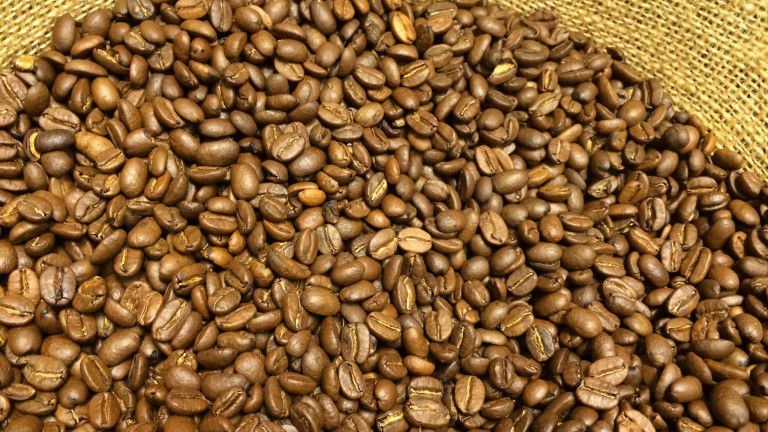 Rekor kopi di Kolombia