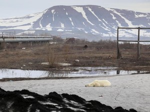 Fenomena Panas Panjang di Siberia, Terjadi 80.000 Tahun Sekali