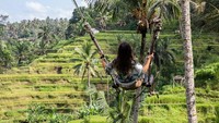 Peringkat Ubud ini mengungguli sejumlah kota wisata lainnya seperti Kyoto di Jepang hingga Bangkok di Thailand. Hal ini tentu membanggakan, mengingat kota-kota tersebut merupakan destinasi favorit wisatawan. Ubud juga menyalip kepopuleran Seoul di Korea Selatan yang bertengger di posisi 23. Foto: iStock.