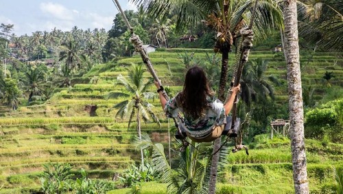 Beautiful woman on high swing above rice fields in Bali on sunny day