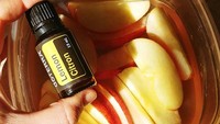 Potongan apel sangat mudah berubah warna menjadi kecoklatan ketika terkena udara. Agar tetap terlihat segar, rendamlah apel dengan air dan beberapa tetes minyak lemon. Foto: Istimewa