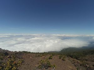 Gunung Slamet Waspada, Perhutani Tutup Tiga Pos Pendakian