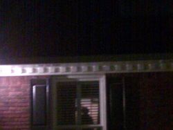 Kumpulan Ilusi Optik Ini Dijamin Bikin Auto Kaget!