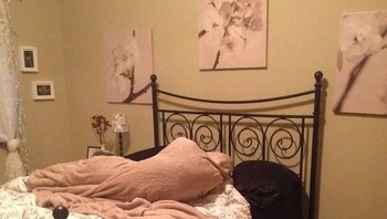 Sendirian masuk kamar lantas melihat pemandangan kayak begini mungkin bisa jadi horor. Padahal itu cuma guling dan selimut yang terbentuk sedemikian rupa, bisa jadi karena kamu lupa beresin tempat tidur. (Foto: Boredpanda)