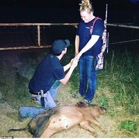 Pria ini melamar di tempat yang tidak tepat. Di samping mereka ada hewan mati yang membuat momen ini jauh dari kata indah. Foto: ist