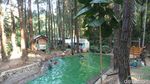 Foto: Kolam Renang di Hutan Pinus Semarang