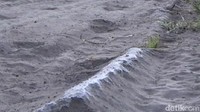Menurut seorang warga bernama Yanti yang tinggal di kawasan Jetak, Kecamatan Sukapura, fenomena salju di kawasan Gunung Bromo itu telah terjadi sejak beberapa pekan terakhir.