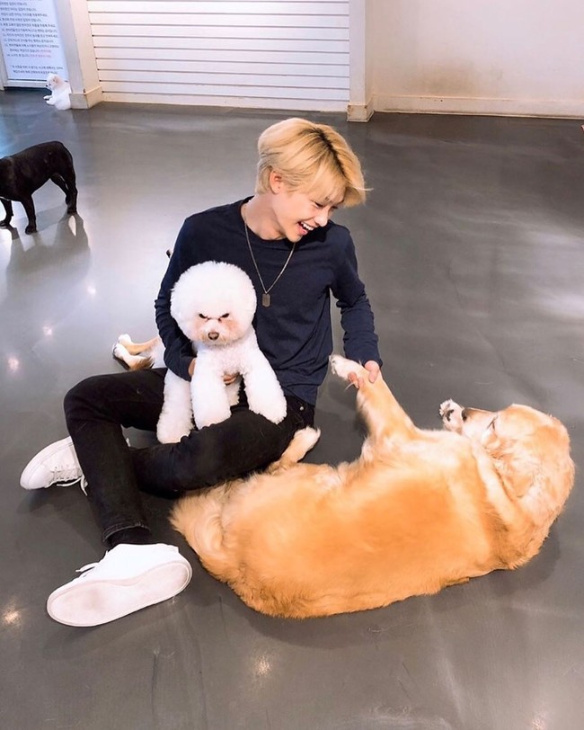 Selain tampan, Felix Stray Kids dikatakan pintar dalam pelajaran, terutama matematika. Saat masih sekolah di Sydney, pria 19 tahun tersebut dikatakan masuk dalam kelas unggulan matematika. Foto: Instagram @realstraykids