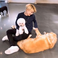 Selain tampan, Felix Stray Kids dikatakan pintar dalam pelajaran, terutama matematika. Saat masih sekolah di Sydney, pria 19 tahun tersebut dikatakan masuk dalam kelas unggulan matematika. Foto: Instagram @realstraykids