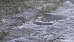 Lagi, Fenomena Salju Kembali Turun di Kawasan Bromo