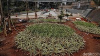 Empat spot budaya tersebut diantaranya ada yang berlokasi di Panin, FX, Universitas Atmajaya dan trotoar di depan HI.
