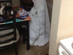 Kumpulan Ilusi Optik Ini Dijamin Bikin Auto Kaget!