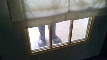 Saya meninggalkan sepatu di pintu belakang. Ketika kembali berjalan saya kaget melihat sepatu tersebut. Dikiranya ada orang yang sedang mengintai! (Foto: Boredpanda)