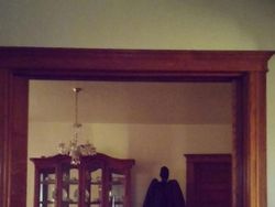 Kumpulan Ilusi Optik Ini Dijamin Bikin Auto Kaget!