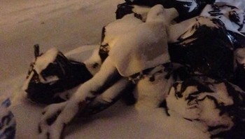 Mengira ini mayat manusia yang dibuang ke tempat sampah, ternyata sebuah manequin. (Foto: Boredpanda)