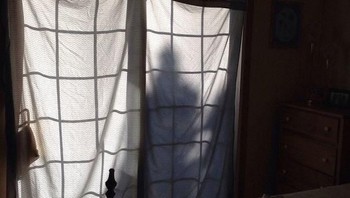 Bayangan yang seperti mengintai dalam rumah. (Foto: Boredpanda)