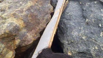 Hiii! Tenang, ini cuma manekin. (Foto: Boredpanda)