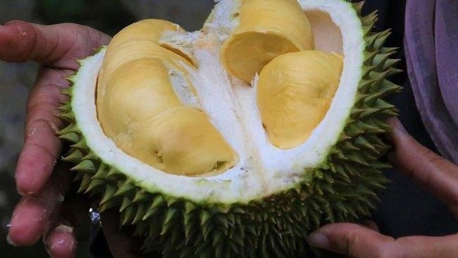 Deretan Buah Bentuk Unik hingga Cara Pilih Durian Masak