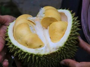 Deretan Buah Bentuk Unik hingga Cara Pilih Durian Masak