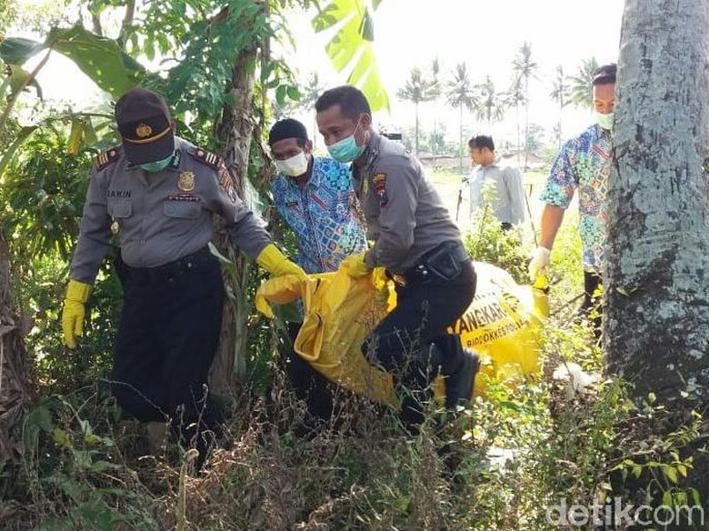Identitas Mayat Laki-laki yang Ditemukan di Persawahan Banyuwangi Terungkap Identitas Mayat Laki-laki yang Ditemukan di Persawahan Banyuwangi Terungkap
