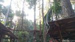 Foto: Kolam Renang di Hutan Pinus Semarang
