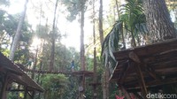 Nanti selain kolam renang kami juga akan membangun rumah pohon, flying fox dan Coffee Shop. (Aji Kusuma/detikcom)