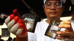 Kreatif! Botol Bekas Disulap Jadi Tempat Lampu dan Lilin