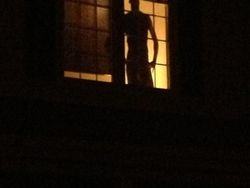 Kumpulan Ilusi Optik Ini Dijamin Bikin Auto Kaget!