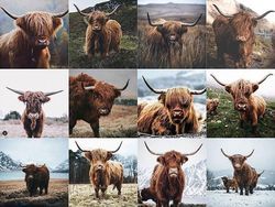 Pengguna Instagram Tak Unik, Posting Fotonya Nyaris Identik