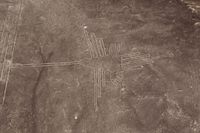 Gambar Nazca Lines yang diyakini berbentuk burung kolibri (iStock)