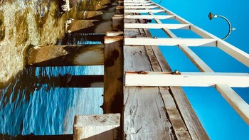 Foto: via Brainberries