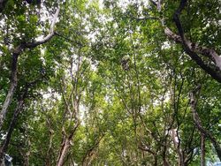 Kumpulan Foto Simetris Keren yang Menginspirasi